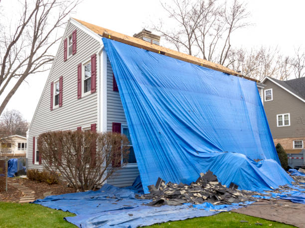 Best Yard Waste Removal  in Bridgeport, CT